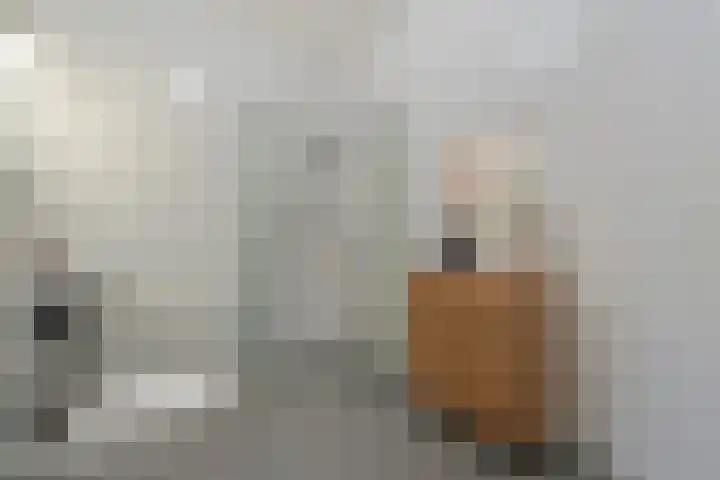 Gedempte Haven 43 Hardenberg thumbnail 35