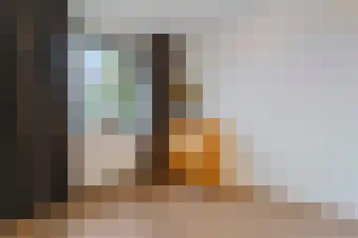 Gedempte Haven 43 Hardenberg thumbnail 37