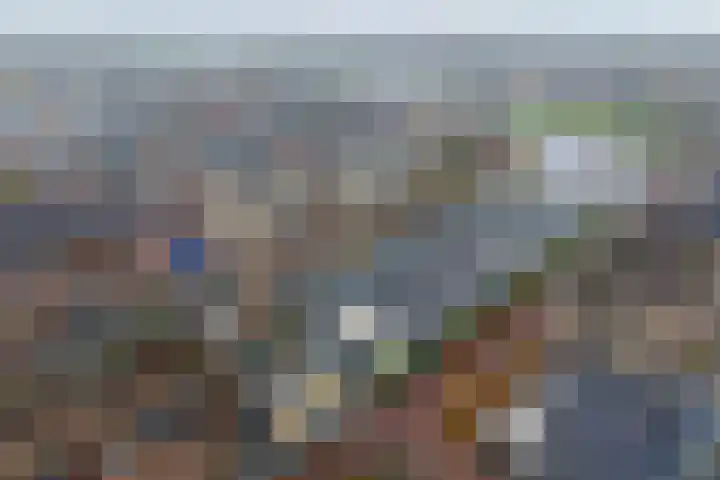 Gedempte Haven 43 Hardenberg thumbnail 4