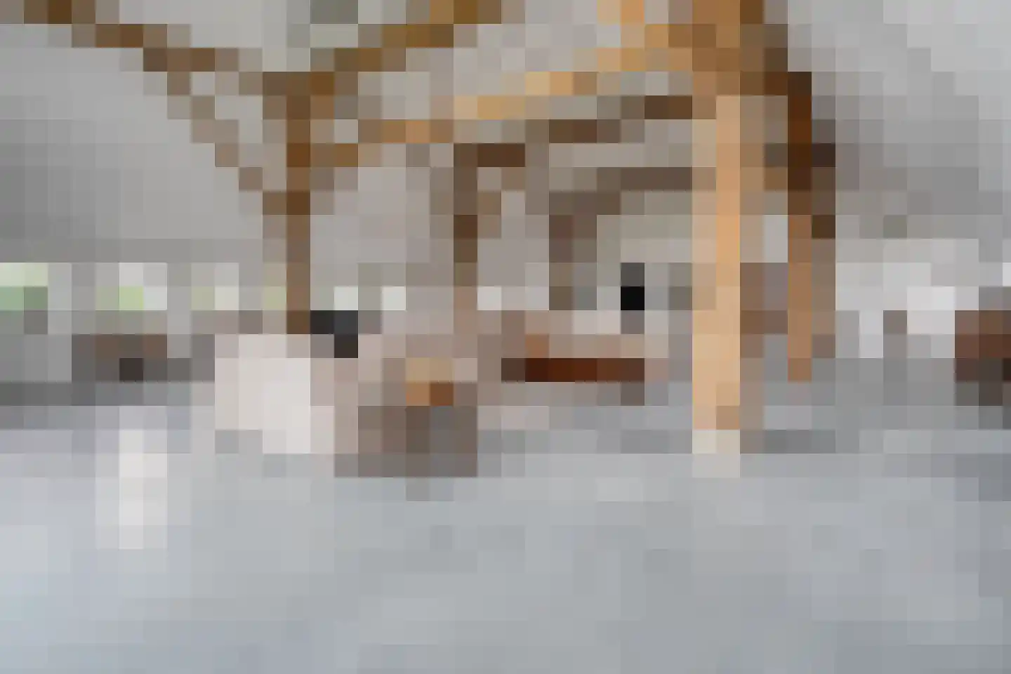 Gedempte Hoofddiep 1 Kerkenveld thumbnail 5