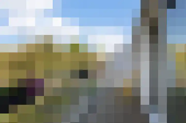 Gedempte Insteekhaven 21 Amsterdam thumbnail 12