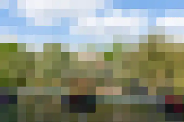 Gedempte Insteekhaven 21 Amsterdam thumbnail 13