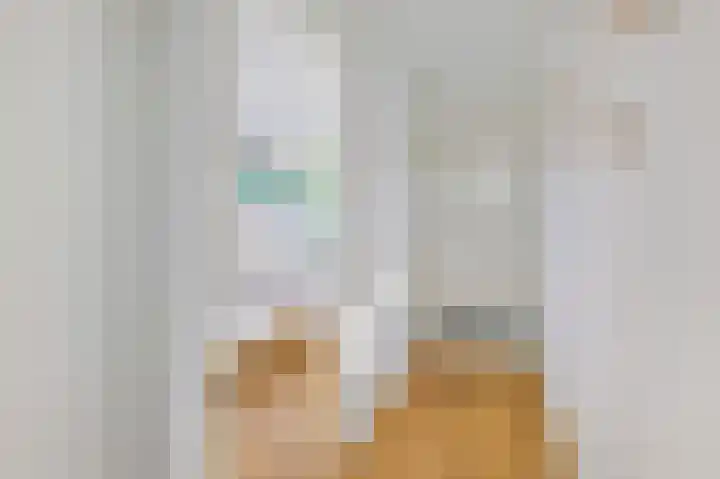 Gedempte Insteekhaven 21 Amsterdam thumbnail 15