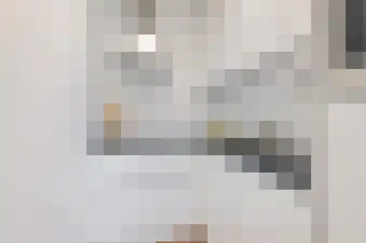 Gedempte Insteekhaven 21 Amsterdam thumbnail 7