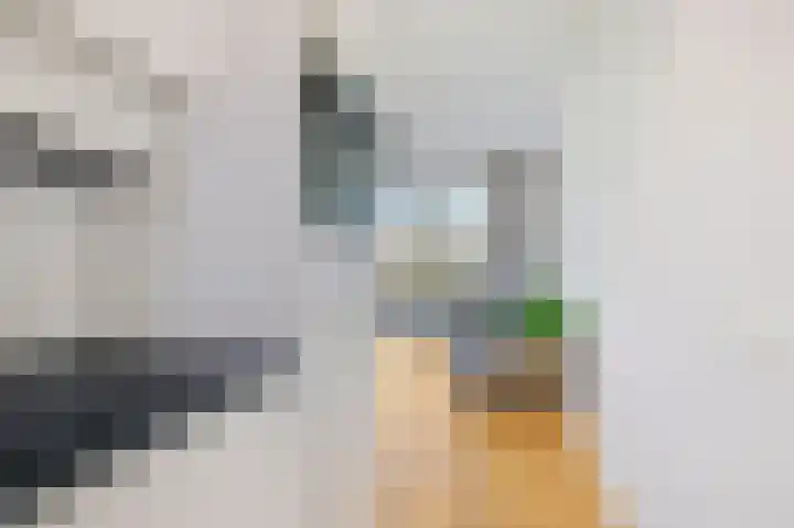 Gedempte Insteekhaven 21 Amsterdam thumbnail 8