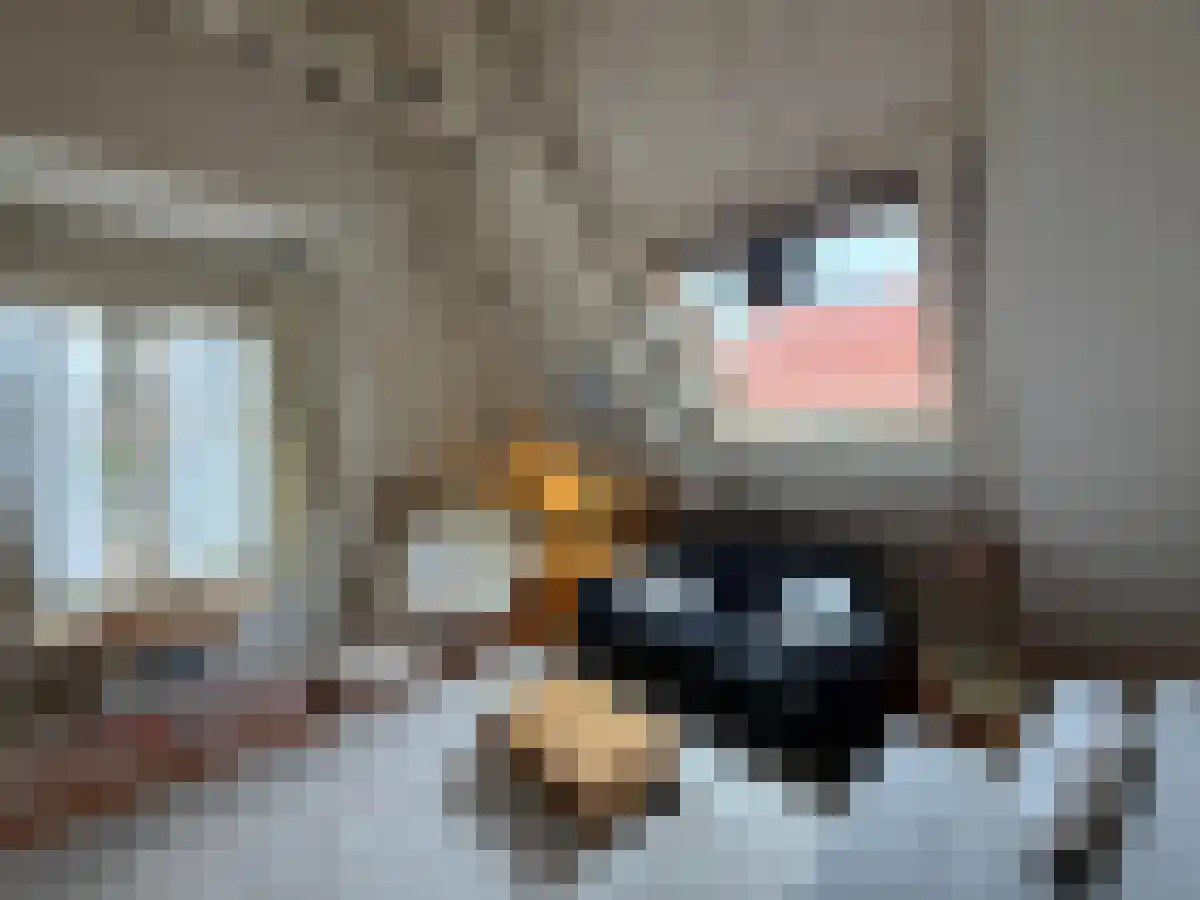Gedempte Kattendiep 35 Groningen thumbnail 4
