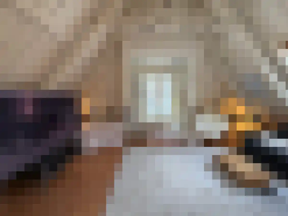 Gedempte Kattendiep 35 Groningen thumbnail 5