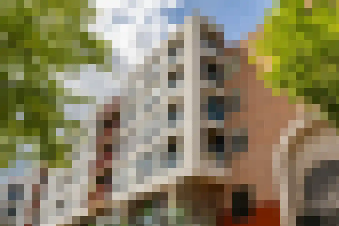 Gedempte Kattendiep 60 Groningen thumbnail 5