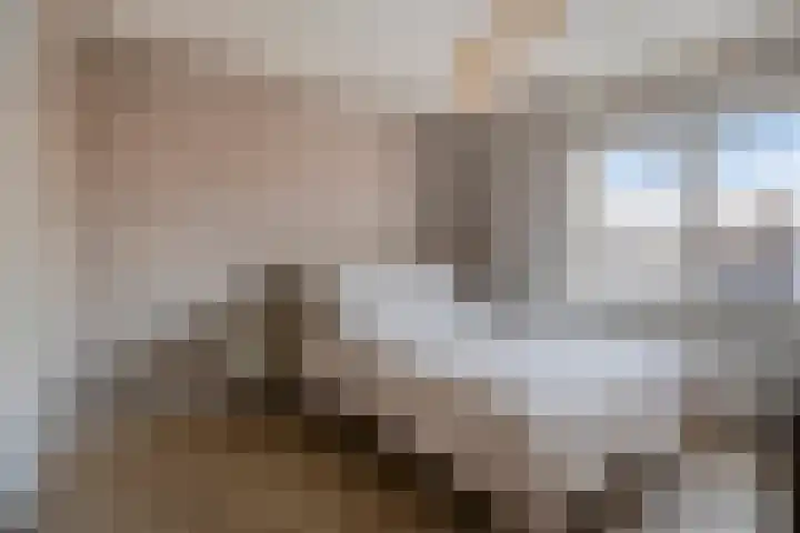 Gedempte Kattendiep 98 Groningen thumbnail 24