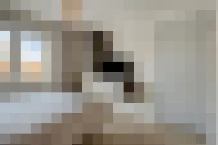 Gedempte Kattendiep 98 Groningen thumbnail 25