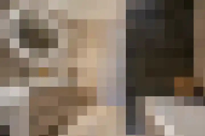 Gedempte Kattendiep 98 Groningen thumbnail 26