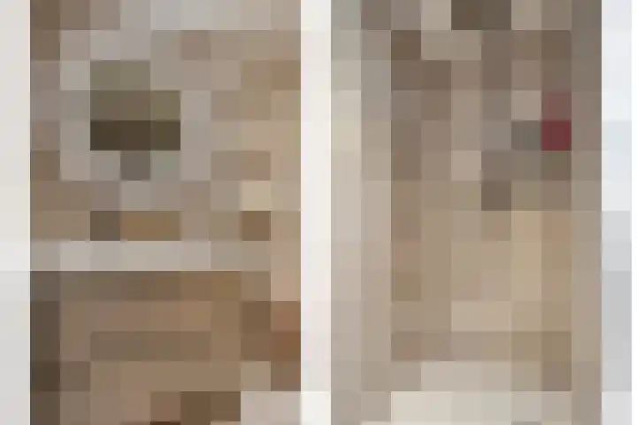 Gedempte Kattendiep 98 Groningen thumbnail 4