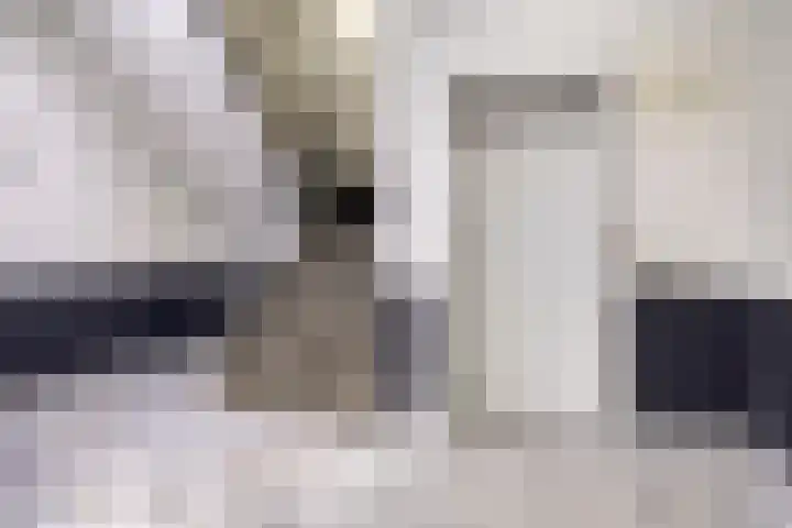 Gedempte Kattendiep 98 Groningen thumbnail 7