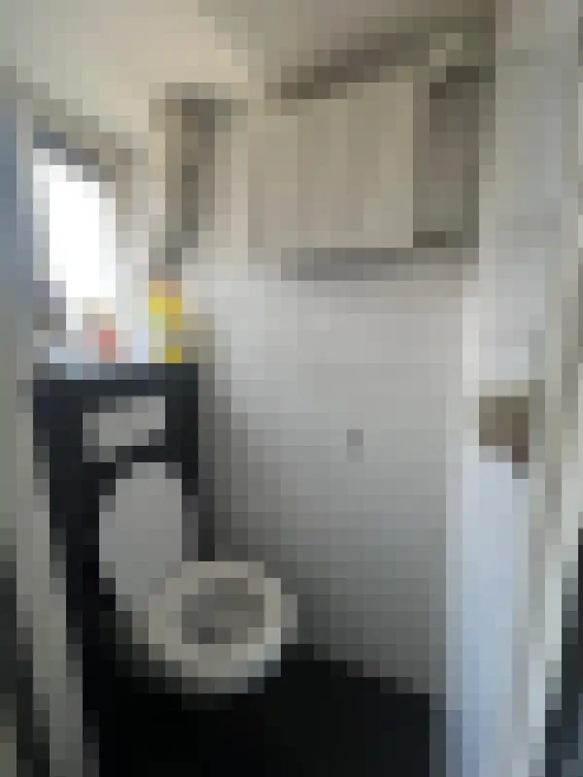 Gedempte Kattendiep Groningen thumbnail 4