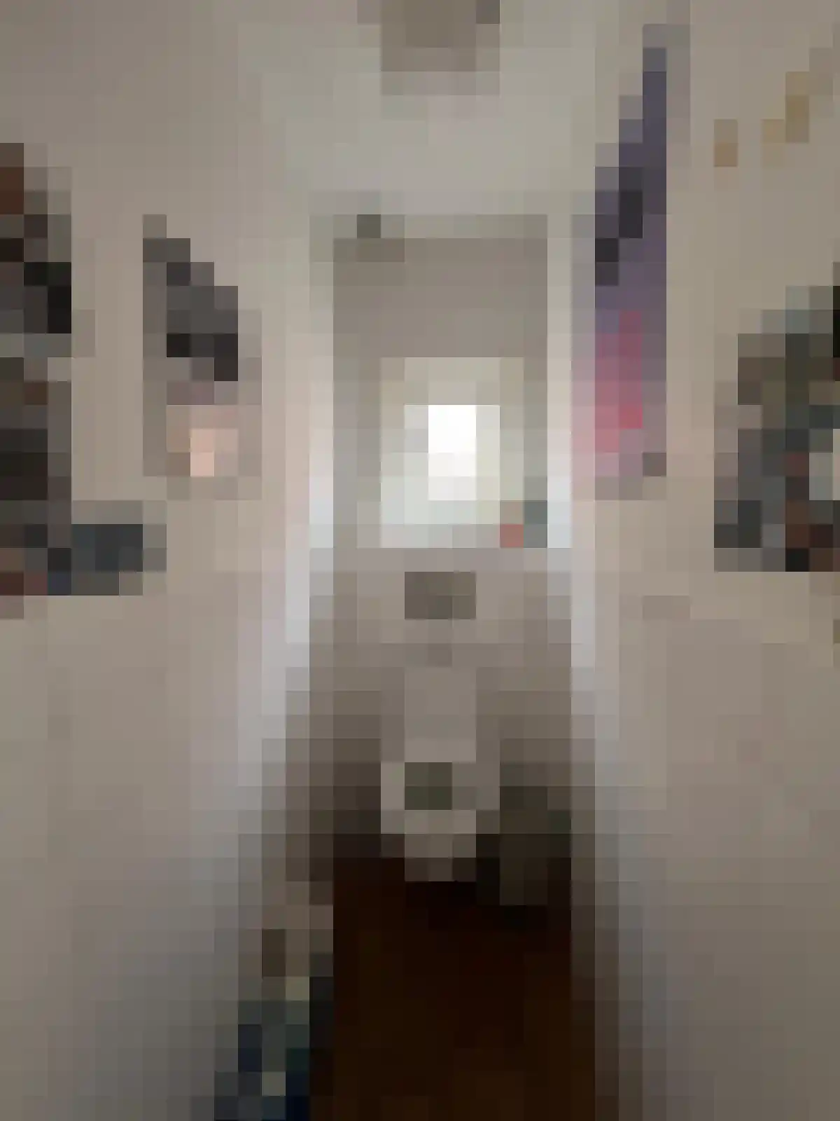 Gedempte Kattendiep Groningen thumbnail 5