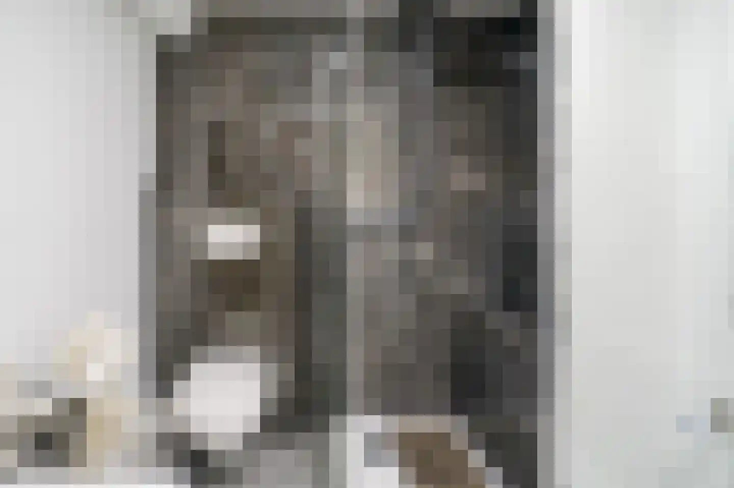 Gedempte Nieuwesloot 133 Alkmaar thumbnail 17