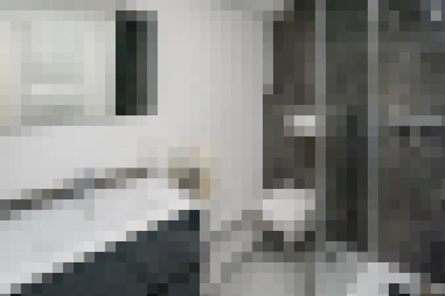 Gedempte Nieuwesloot 133 Alkmaar thumbnail 18