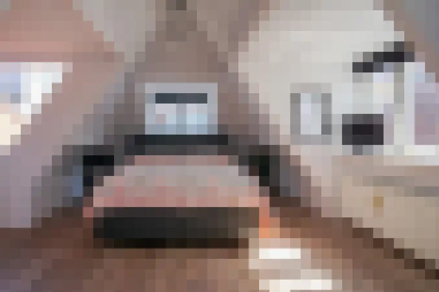 Gedempte Nieuwesloot 133 Alkmaar thumbnail 25