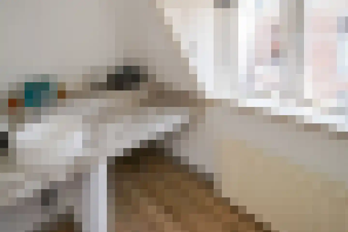 Gedempte Nieuwesloot 133 Alkmaar thumbnail 30