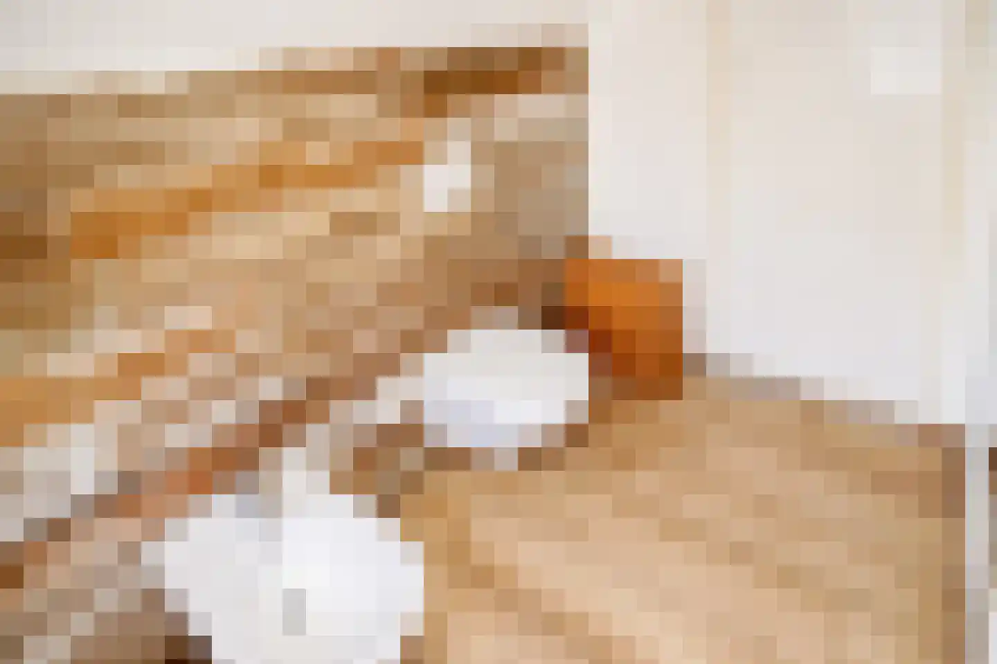 Gedempte Nieuwesloot 133 Alkmaar thumbnail 32