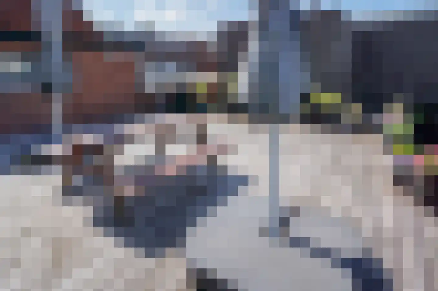 Gedempte Nieuwesloot 133 Alkmaar thumbnail 34