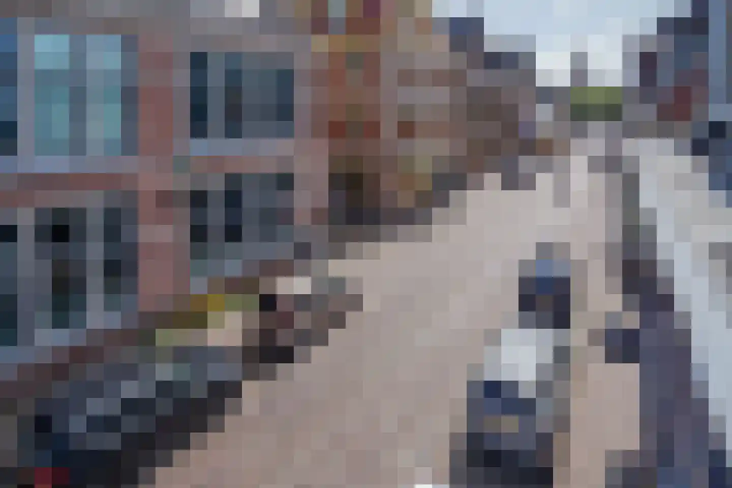 Gedempte Nieuwesloot 133 Alkmaar thumbnail 45