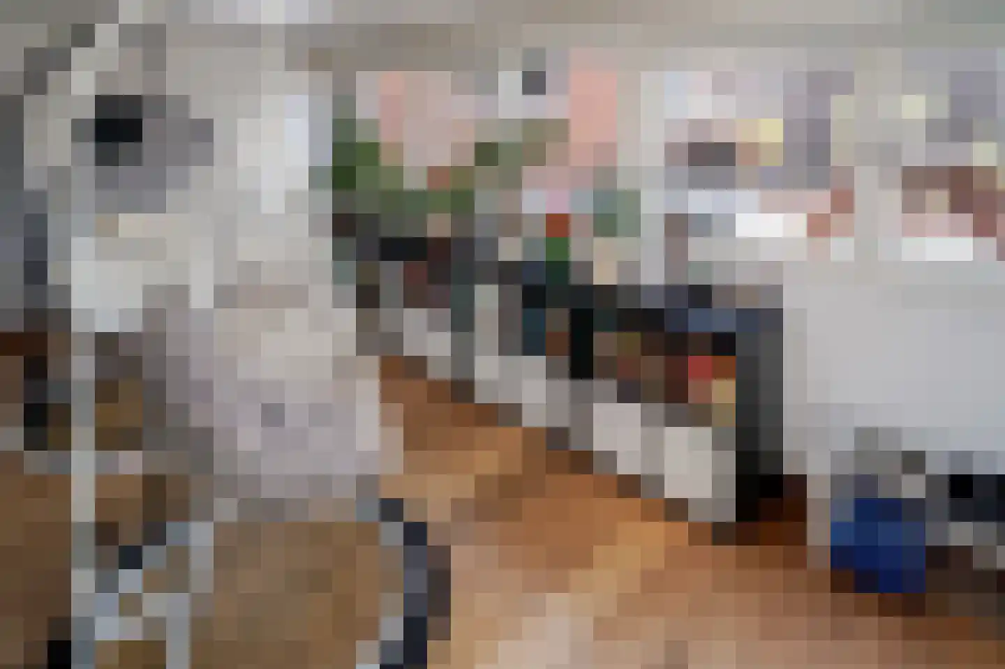 Gedempte Nieuwesloot 133 Alkmaar thumbnail 7