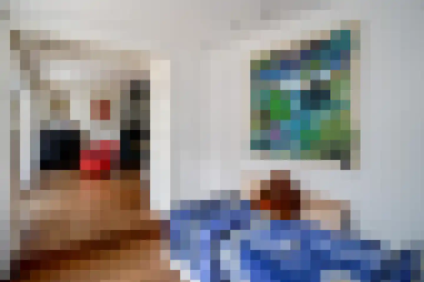 Gedempte Nieuwesloot 133 Alkmaar thumbnail 8