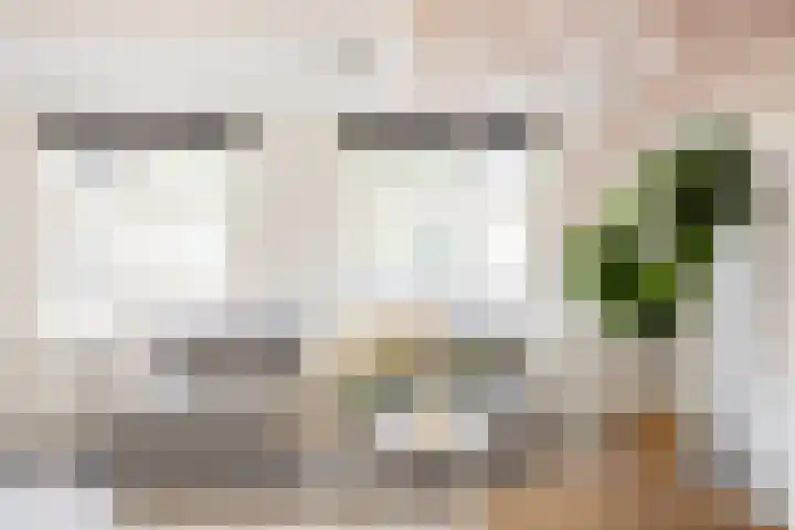 Gedempte Nieuwesloot 23 A Alkmaar thumbnail 10