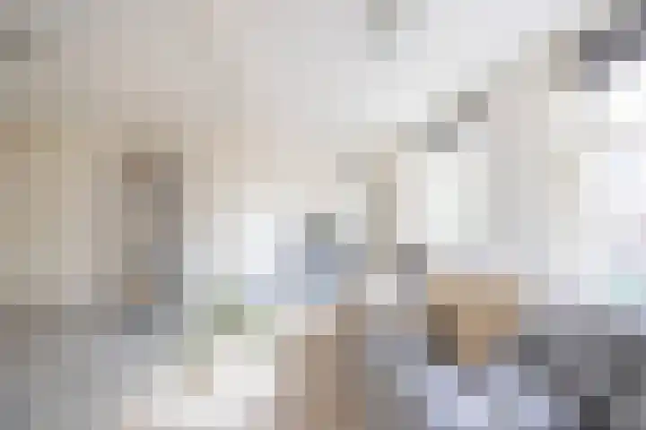 Gedempte Nieuwesloot 23 A Alkmaar thumbnail 11