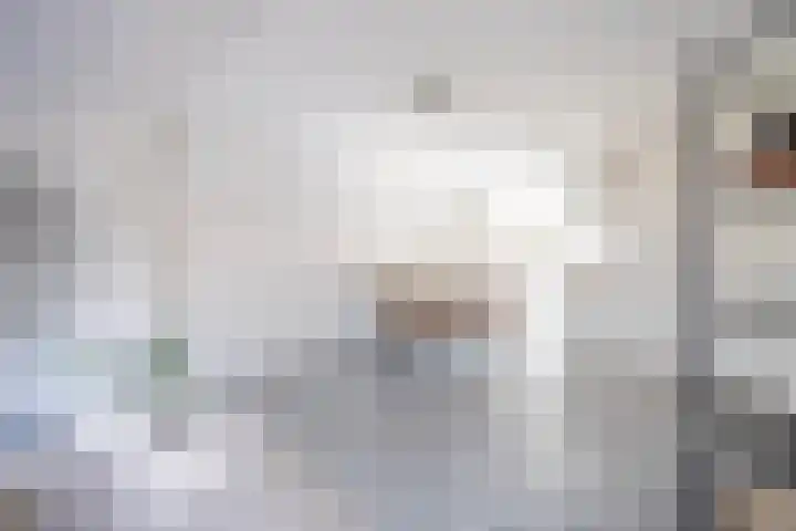 Gedempte Nieuwesloot 23 A Alkmaar thumbnail 12