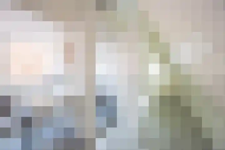 Gedempte Nieuwesloot 23 A Alkmaar thumbnail 16