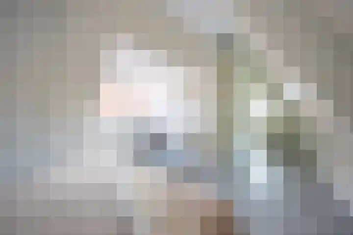 Gedempte Nieuwesloot 23 A Alkmaar thumbnail 19