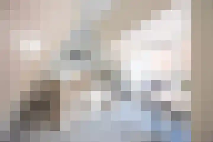 Gedempte Nieuwesloot 23 A Alkmaar thumbnail 20