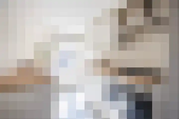 Gedempte Nieuwesloot 23 A Alkmaar thumbnail 4