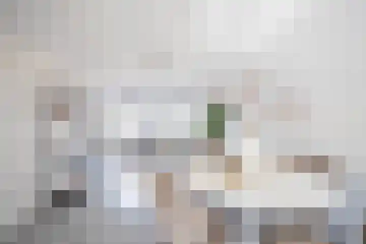 Gedempte Nieuwesloot 23 A Alkmaar thumbnail 7