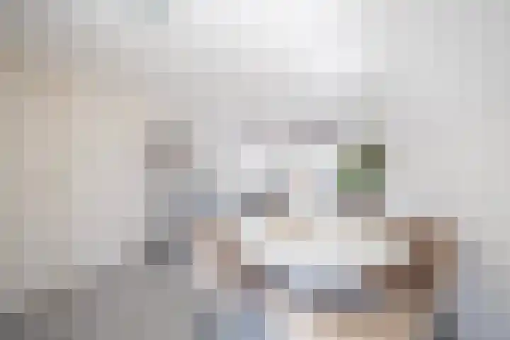 Gedempte Nieuwesloot 23 A Alkmaar thumbnail 8