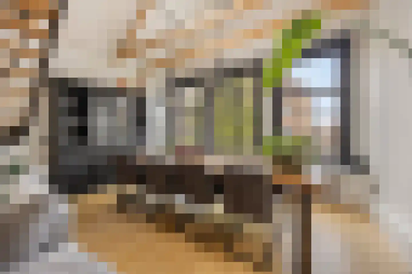 Gedempte Nieuwesloot 37 A Alkmaar thumbnail 11