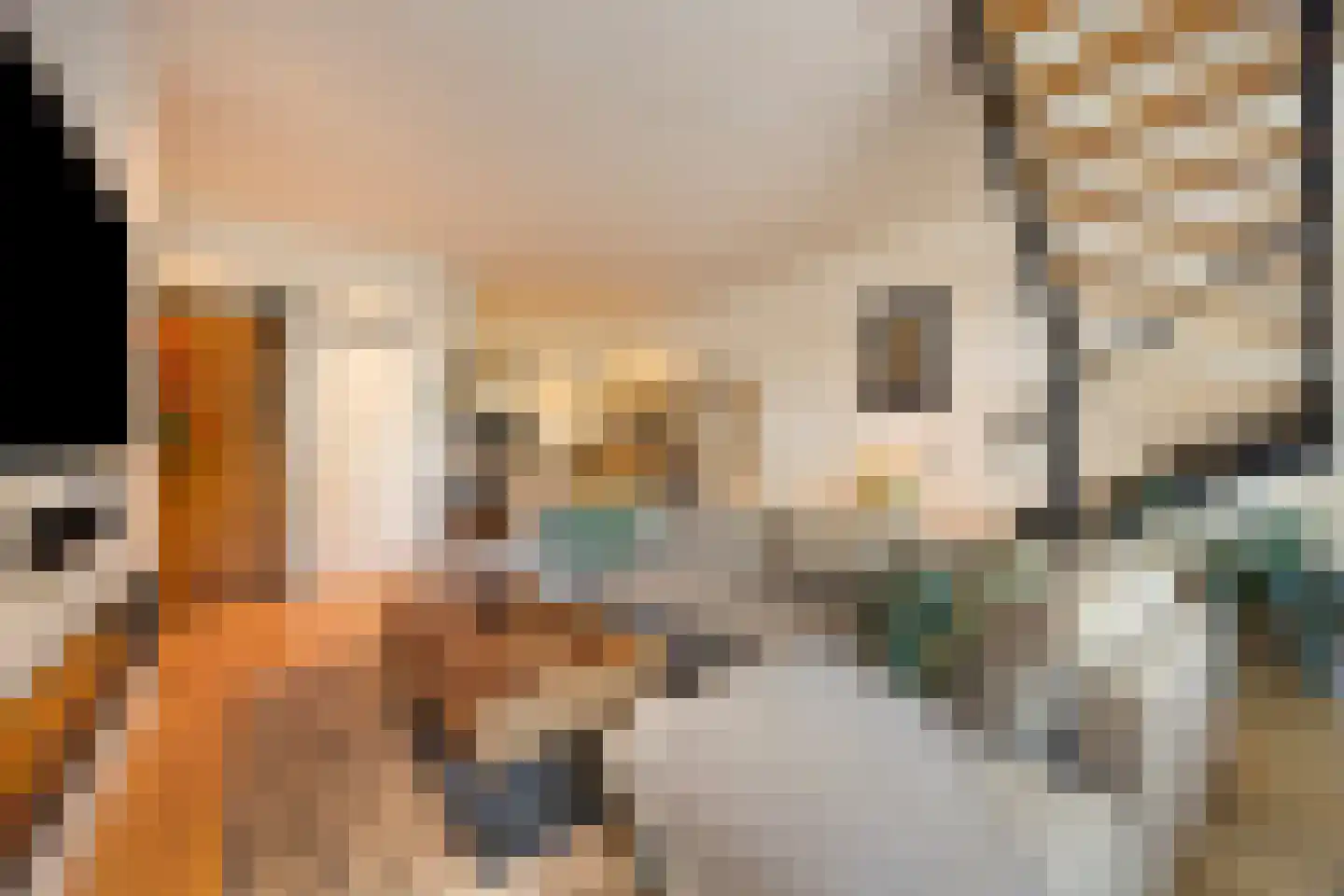 Gedempte Nieuwesloot 37 A Alkmaar thumbnail 13