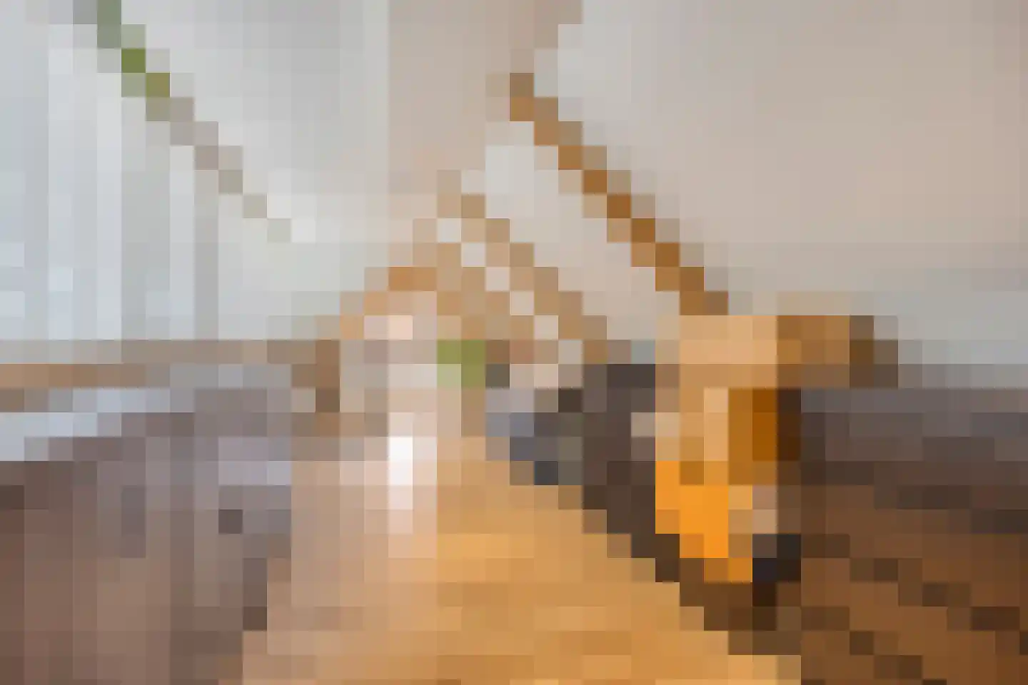 Gedempte Nieuwesloot 37 A Alkmaar thumbnail 19