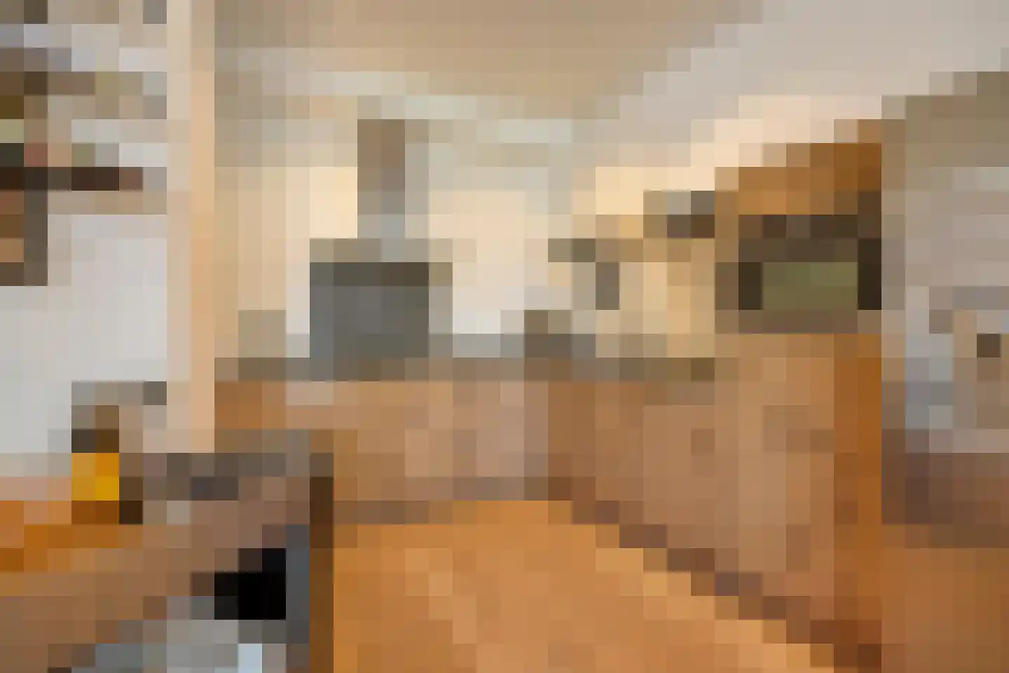 Gedempte Nieuwesloot 37 A Alkmaar thumbnail 7