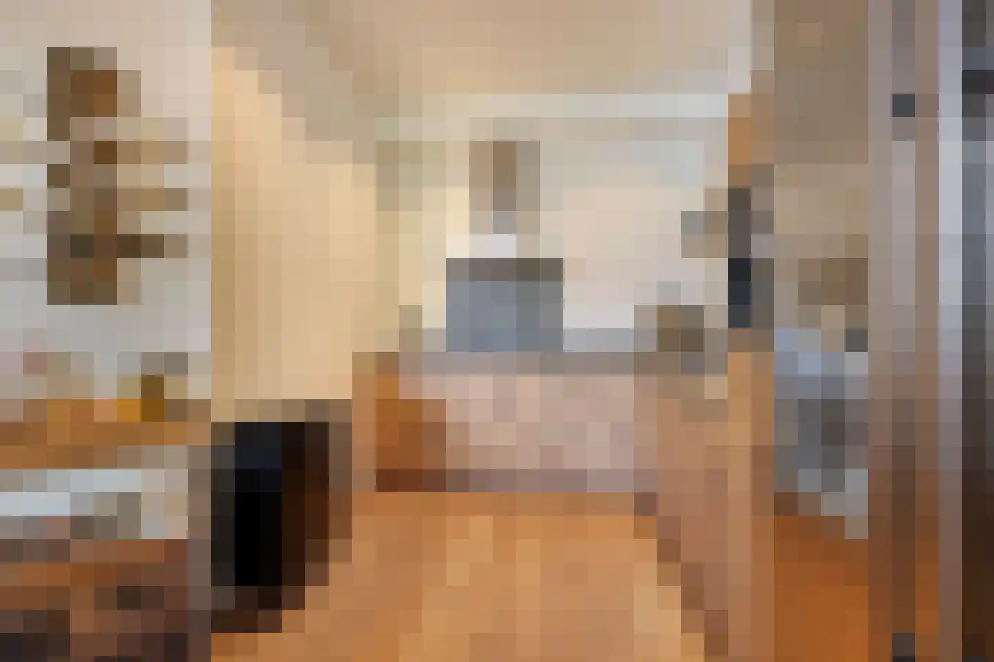 Gedempte Nieuwesloot 37 A Alkmaar thumbnail 8