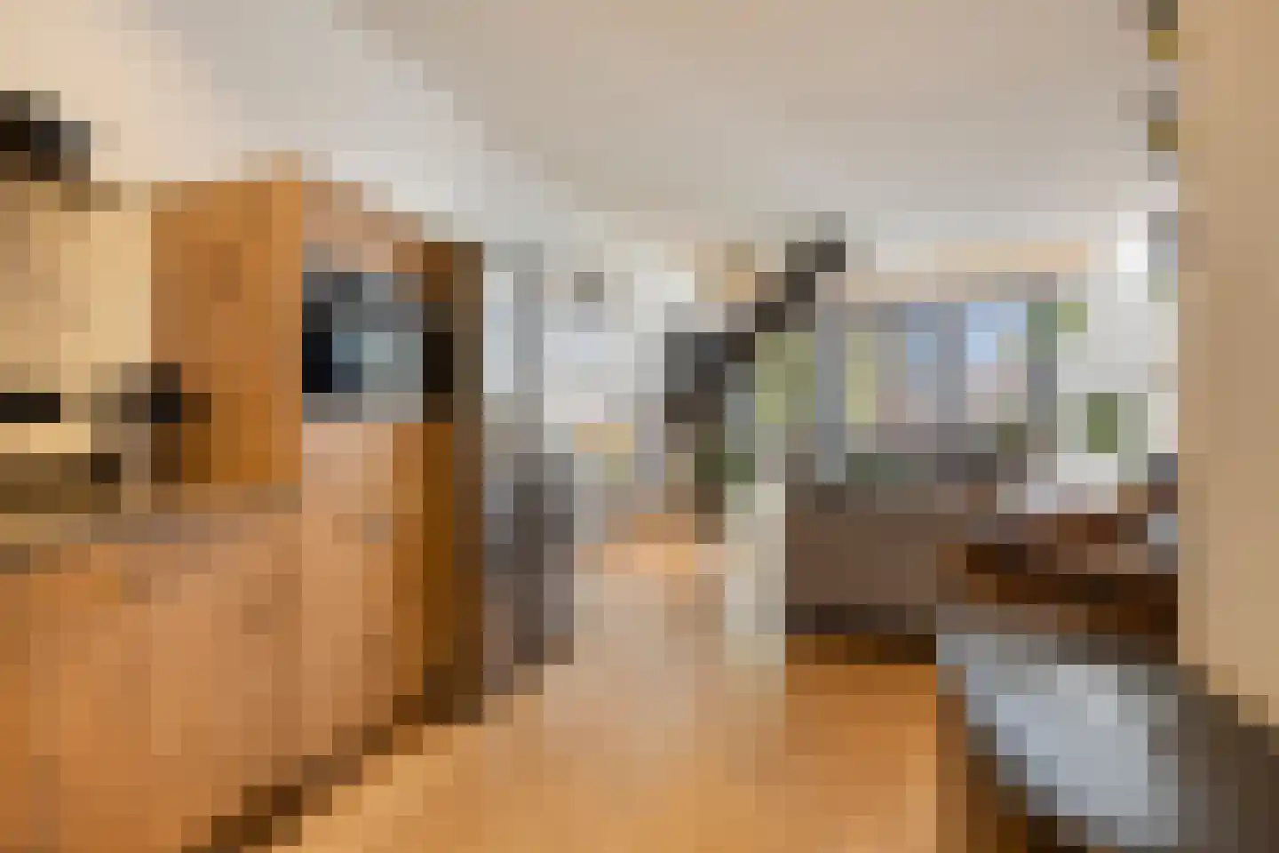 Gedempte Nieuwesloot 37 A Alkmaar thumbnail 9