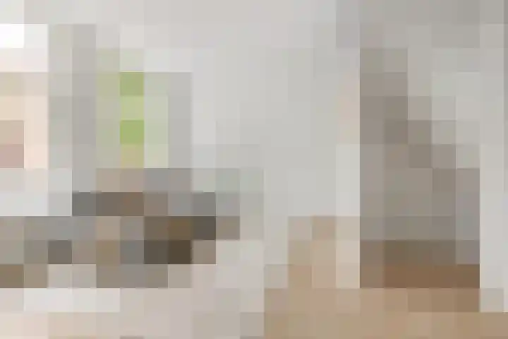 Gedempte Nieuwesloot 67 A Alkmaar thumbnail 10