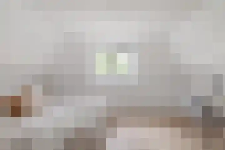 Gedempte Nieuwesloot 67 A Alkmaar thumbnail 16