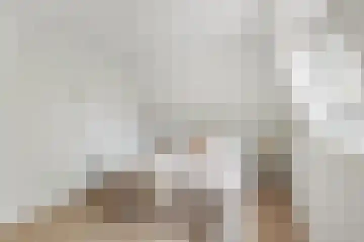 Gedempte Nieuwesloot 67 A Alkmaar thumbnail 17