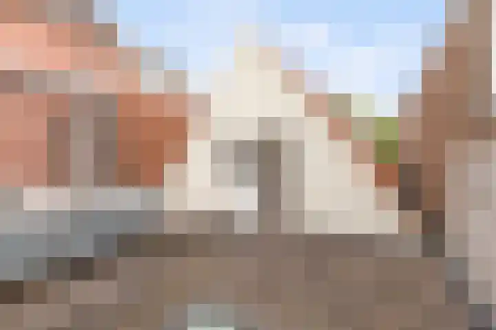 Gedempte Nieuwesloot 67 A Alkmaar thumbnail 29