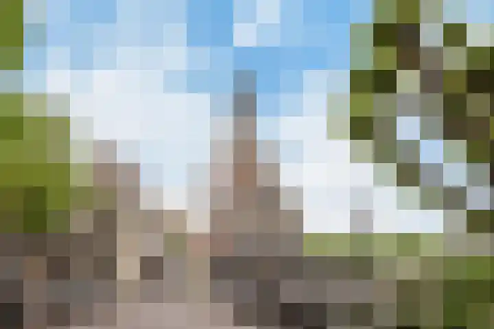 Gedempte Nieuwesloot 67 A Alkmaar thumbnail 31