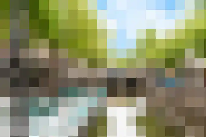 Gedempte Nieuwesloot 67 A Alkmaar thumbnail 32