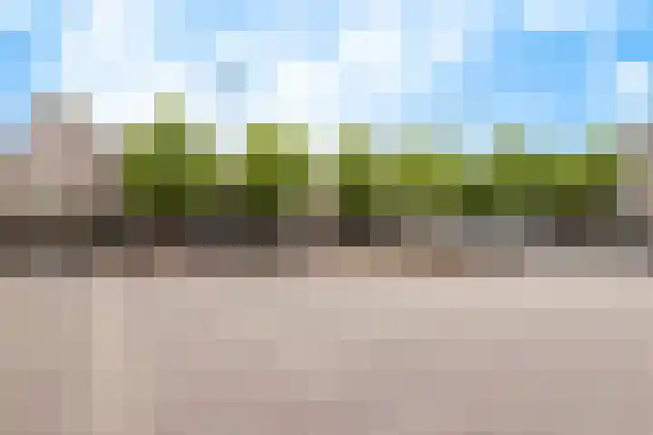 Gedempte Nieuwesloot 67 A Alkmaar thumbnail 33